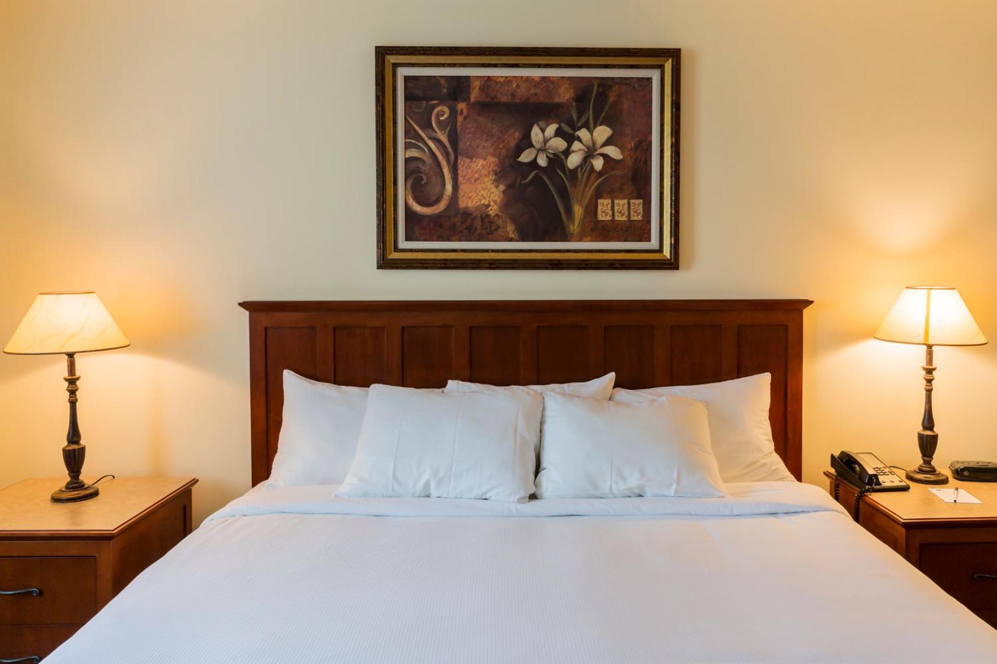Hotel St-Bernard Saint-Bernard-de-Lacolle Dış mekan fotoğraf